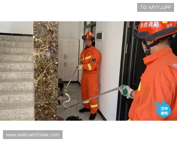 CQ9电子如何保障玩家资金安全详尽措施与安全保障体系介绍