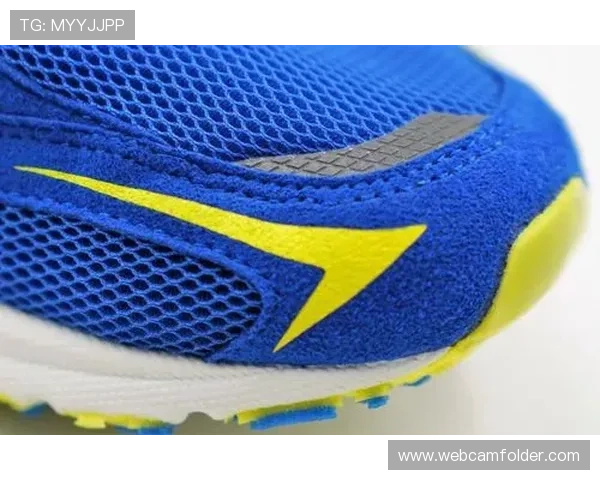 尊龙体育进口价格优势分析如何在平台上享受最实惠的体育进口商品价格