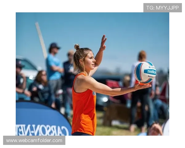 新宝体育平台全面解析：如何选择最适合你的体育博彩网站