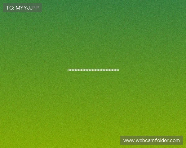 突尼斯和荷兰在世界杯中的锋线对比：前锋组合的战术作用与关键表现分析